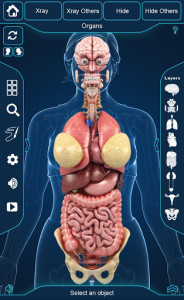 اسکرین شات برنامه Organs Anatomy Pro. 3
