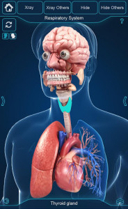 اسکرین شات برنامه Organs Anatomy Pro. 5