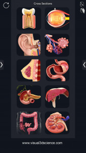 اسکرین شات 2 برنامه My Organs Anatomy