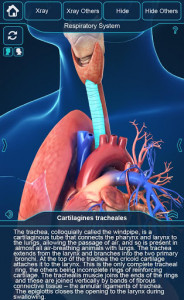 اسکرین شات برنامه Respiratory System Anatomy Pro. 3