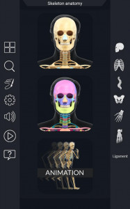 اسکرین شات برنامه My Skeleton Anatomy 1