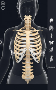 اسکرین شات برنامه My Skeleton Anatomy 5