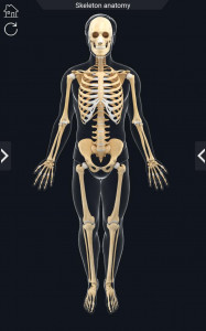 اسکرین شات برنامه My Skeleton Anatomy 2