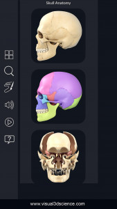 اسکرین شات برنامه Skull Anatomy Pro. 2