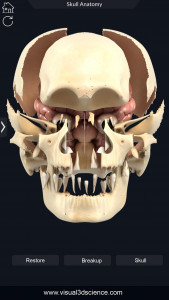 اسکرین شات برنامه Skull Anatomy Pro. 7