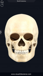 اسکرین شات برنامه Skull Anatomy Pro. 3