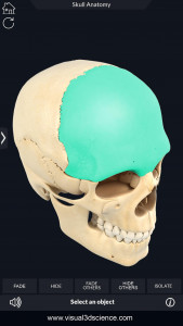 اسکرین شات برنامه Skull Anatomy Pro. 4