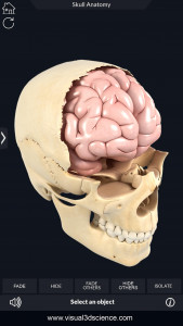 اسکرین شات برنامه Skull Anatomy Pro. 5