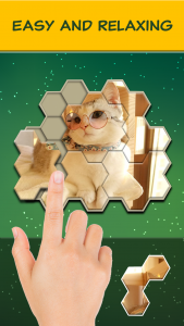 اسکرین شات 1 بازی Jigsaw Hexa Block