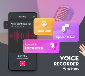 اسکرین شات برنامه Voice Recorder: Voice Notes 1