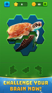 اسکرین شات 3 بازی Hex Block Jigsaw Puzzle