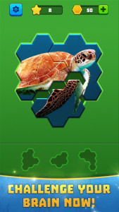 اسکرین شات بازی Block Hexa Jigsaw Puzzle 3