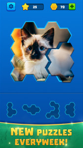 اسکرین شات 1 بازی Hex Block Jigsaw Puzzle