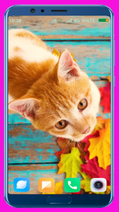 اسکرین شات برنامه Cute Kitten HD Wallpaper 7