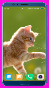 اسکرین شات برنامه Cute Kitten HD Wallpaper 3