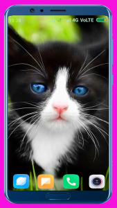 اسکرین شات برنامه Cute Kitten HD Wallpaper 2