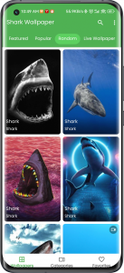 اسکرین شات برنامه 3D Shark in the Live Wallpaper 3