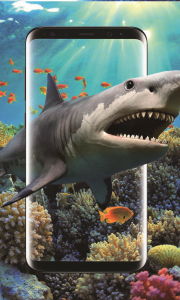 اسکرین شات برنامه 3D Shark in the Live Wallpaper 2