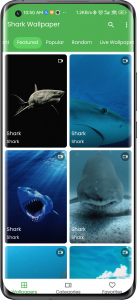 اسکرین شات برنامه 3D Shark in the Live Wallpaper 5