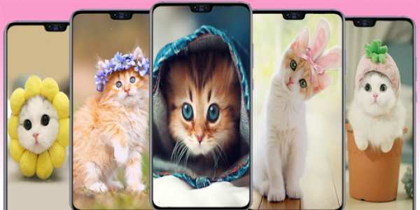 اسکرین شات برنامه Cute Cat wallpaper - Kitten images 1