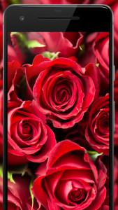 اسکرین شات برنامه Rose Wallpaper, Floral, Flower background : Rosefy 5