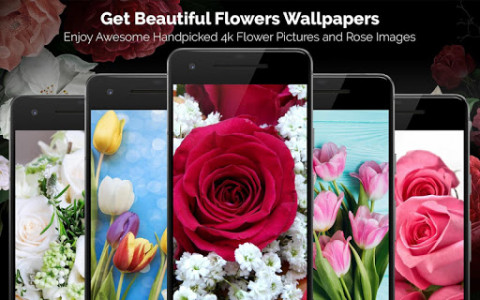 اسکرین شات برنامه Rose Wallpaper, Floral, Flower background : Rosefy 7