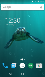 اسکرین شات برنامه Cute Turtle Wallpaper Theme 6