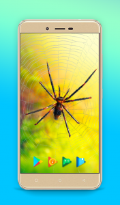 اسکرین شات برنامه Spider Keyboard & Wallpaper 4