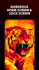 اسکرین شات برنامه Tiger Wallpaper & Keyboard 7