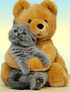 اسکرین شات 3 برنامه I need hugs