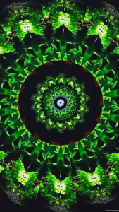 اسکرین شات 2 برنامه KaleidoSnap: Kaleidoscope Cam