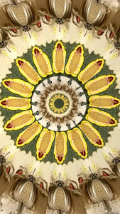 اسکرین شات 6 برنامه KaleidoSnap: Kaleidoscope Cam