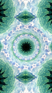 اسکرین شات 5 برنامه KaleidoSnap: Kaleidoscope Cam