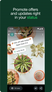 اسکرین شات برنامه WhatsApp Business 2