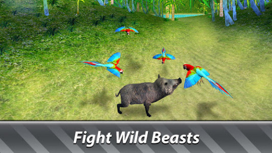 اسکرین شات بازی Jungle Parrot Simulator - try wild bird survival! 6
