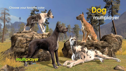 اسکرین شات بازی Dog Multiplayer : Great Dane 1