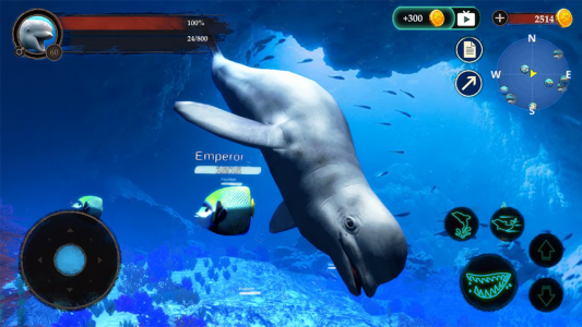 اسکرین شات بازی The Beluga Whale 7