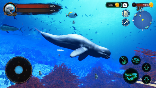 اسکرین شات 2 بازی The Beluga Whale
