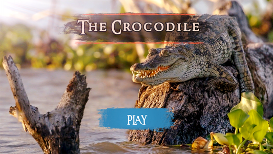اسکرین شات بازی The Crocodile 2