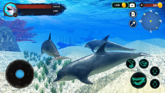 اسکرین شات بازی The Dolphin 8