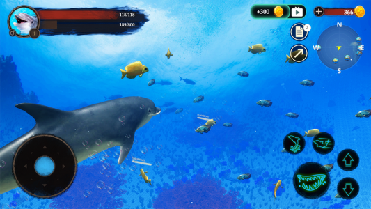 اسکرین شات 4 بازی The Dolphin