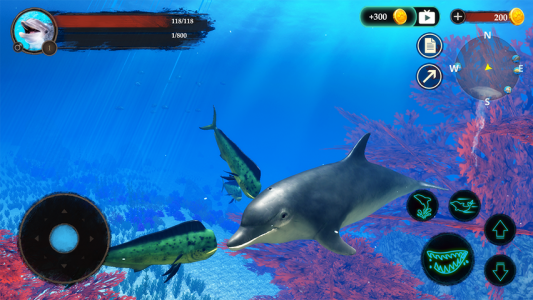اسکرین شات بازی The Dolphin 7