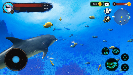 اسکرین شات بازی The Dolphin 4
