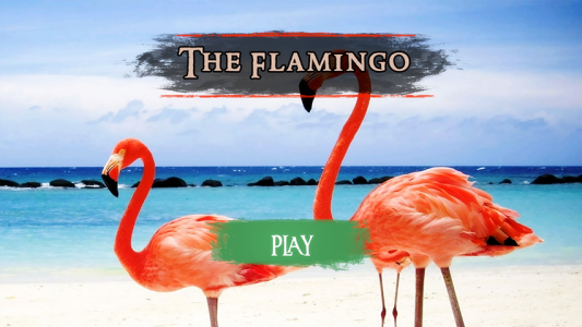 اسکرین شات بازی The Flamingo 2