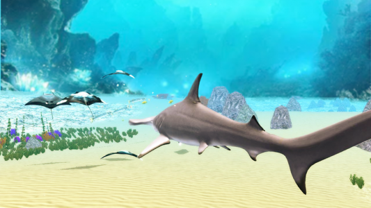 اسکرین شات بازی The Hammerhead Shark 5