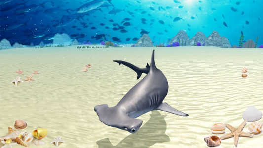 اسکرین شات بازی The Hammerhead Shark 8