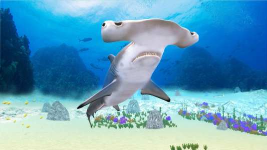 اسکرین شات بازی The Hammerhead Shark 6