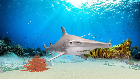 اسکرین شات بازی The Hammerhead Shark 2