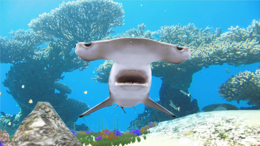 اسکرین شات بازی The Hammerhead Shark 4