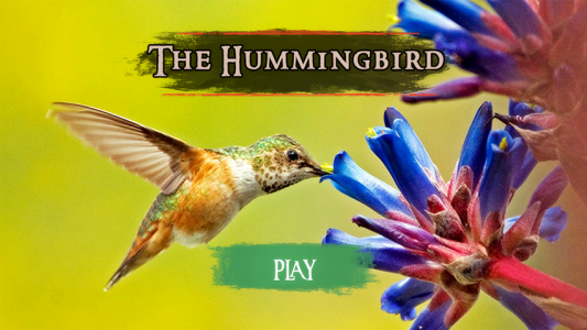 اسکرین شات بازی The Hummingbird 6